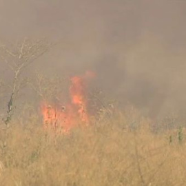 Hartos del fuego en verano