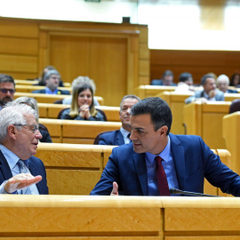 El presidente del Gobierno, Pedro Sánchez, conversa con el ministro de Asuntos Exteriores, Josep Borrell, en la sesión de control en el pleno del Senado. EFE/ Fernando Villar