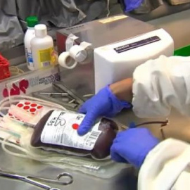 Masiva respuesta a la donación de sangre tras el accidente 
