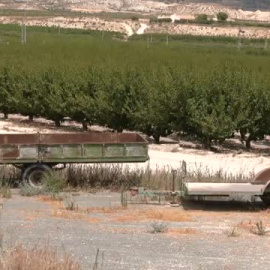 "Es una injusticia que quien ha sufrido una agresión sexual espere tres años a que se celebre el juicio"