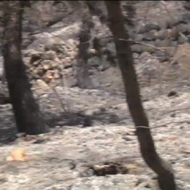 Así ha quedado la sierra de Tramontana