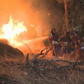 Más de 550 personas trabajan para controlar el incendio de Cebreros