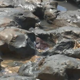 La Antilla se llena de lodo