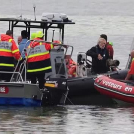 Francia activa una compleja operación para salvar a una ballena beluga atrapada en el Sena