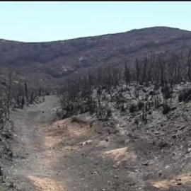 El incendio de Mallorca ha quemado ya unas 480 hectáreas