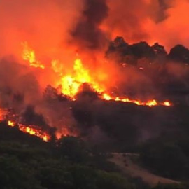 Un incendio quema el monte bajo de una localidad de Zamora  