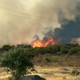 Cerca de 300 vecinos han sido desalojados en Villardiegua, en Zamora, por un incendio
