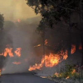 Un nuevo incendio en Galicia arrasa 450 hectáreas