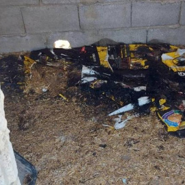 cortijo con restos de animales