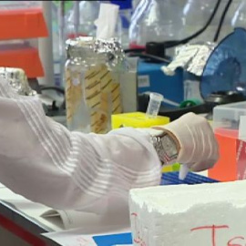 España da un paso al frente en la lucha contra el cáncer