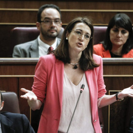 El PSOE cree que la reforma de Báñez es una expropiación