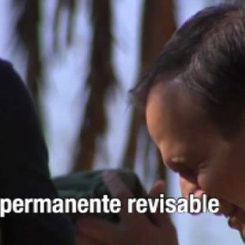 El Consejo de Ministros aprueba el nuevo Código Penal