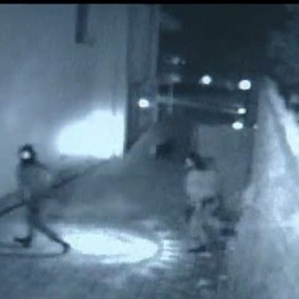 Detenidas 16 personas por robar semillas de pepino valoradas en un millón de euros