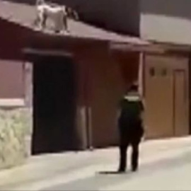 Un agente de la Guardia Civil dispara a un pitbull