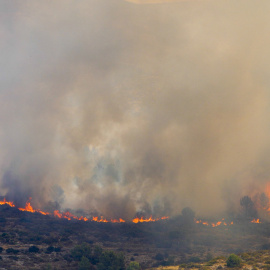 (16/8/22) El incendio de Vall d'Ebo el mismo día que se originó el incendio en la Sierra del Caballo (Petrer), a 100 kilómetros de distancia, el 16 de agosto de 2022.
