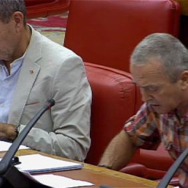 Amaiur protesta en el Congreso por la operación contra Herrira