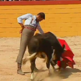 Un juez prohíbe los festejos taurinos de Tarragona