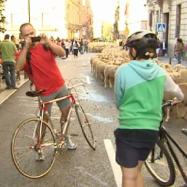 Ovejas y bicicletas comparten las calles de Madrid