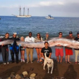 Una cría de 5 metros y medio