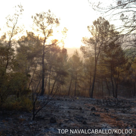 Incendio sin llamas, en Jaén, a 24 de agosto de 2022.