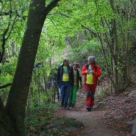 Quim Torra en la acción 'Cims per la Llibertat'. EP