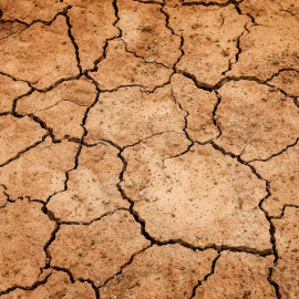 efectos de la sequía