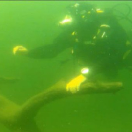 El Lago de Sanabria tiene un alga que indica que está contaminado
