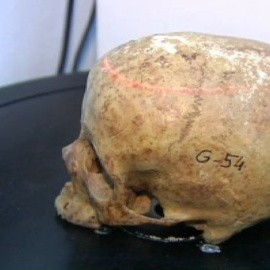 El Laboratorio de Antropología de Granada, un referente en la investigación, cierra