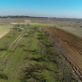 Alcorcón desolado por el anuncio de Eurovegas