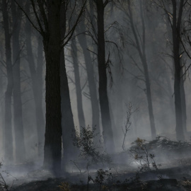 Incendio en el entorno de Añón de Moncayo, cerca de la localidad de Borja (Zaragoza), a 15 de agosto de 2022.