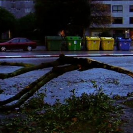 El fuerte viento provoca cuantiosos desperfectos en el mobiliario urbano en Vigo