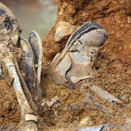 Restos de cuerpos exhumados en la fosa común de Chillón (Ciudad Real) | ARMH