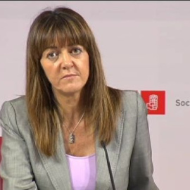 Los socialistas vascos acusan al PNV de ser "palmeros de Sortu"