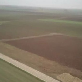 Así caza el halcón peregrino