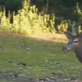 La Junta de Andalucía no quiere que el Gobierno venda una finca que fue expropiada a la familia de Ruiz Mateos