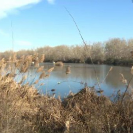 De depuradora a oasis de la biodiversidad