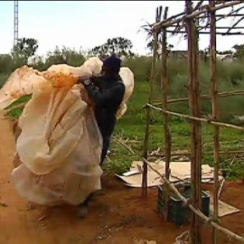 Cien inmigrantes subsaharianos se quedan en la calle tras arder las setenta chabolas donde vivían en Lepe