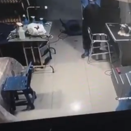 Imágenes de la paliza a un perro por parte de un veterinario. Twitter.