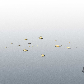  Ilustración: Verónica Montón Alegre