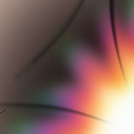 Ilustración: Verónica Montón Alegre.