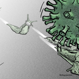 Ilustración: Verónica Montón Alegre.