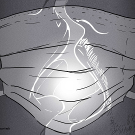 Ilustración: Verónica Montón Alegre.