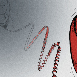 Ilustración: Verónica Montón Alegre