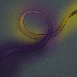 Ilustración de Verónica Montón