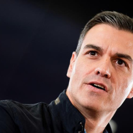 El presidente del Gobierno y secretario general del PSOE, Pedro Sánchez, interviene este sábado en el acto de presentación de la candidatura de Juan Espadas a la Alcaldía de Sevilla para las próximas elecciones municipales. EFE/ Raul Caro