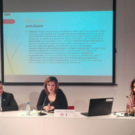 Presentació de l'informe de SOS Racisme sobre identificacions per perfil ètnic. QUERALT CASTILLO