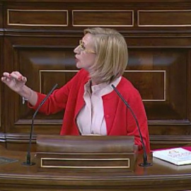 Rosa Díez: "Mas no se ha enterado de que tenía un AVE para venir a defender la consulta"