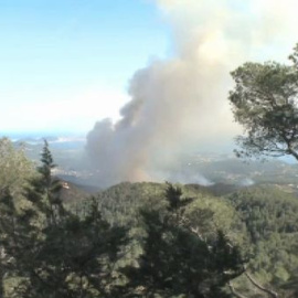 El viento dificulta la extinción de un incendio en el sur de Ibiza