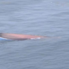 Primeras imágenes del naufragio del pesquero 'Mar Nosso'