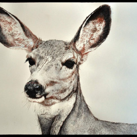  Ilustración de Máximo Aláez